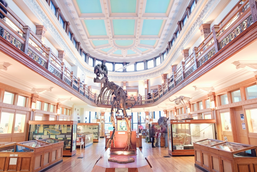 School of Physical and Occupational Therapy